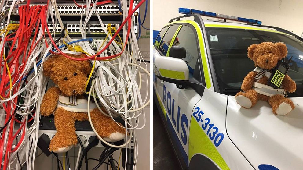 Nallebjörn gör praktik hos polisen