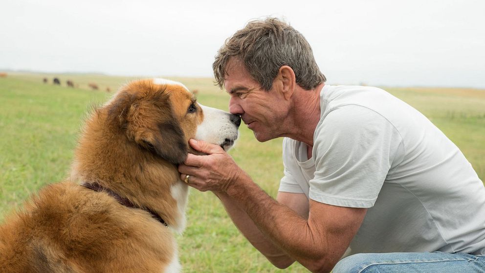 Dennis Quaid gör en roll i ”A dog's purpose”.