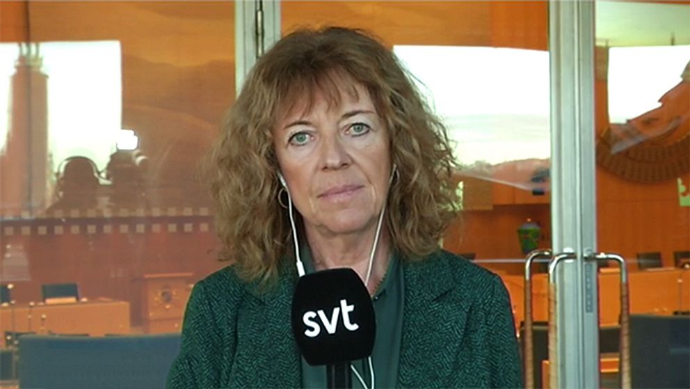 SVT:s inrikespolitiska kommentator Margit Silberstein