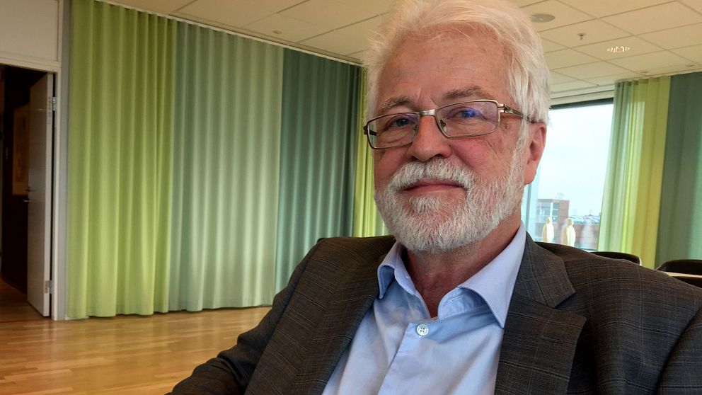 – Det är dags att revidera schablonbilden av vilka som röstar på Sverigedemokraterna, säger Anders Sannerstedt, docent i statsvetenskap vid Lunds universitet.
