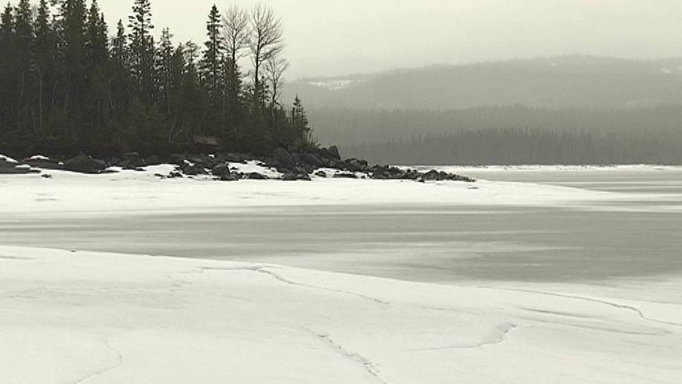 Udde vid Kallsjön