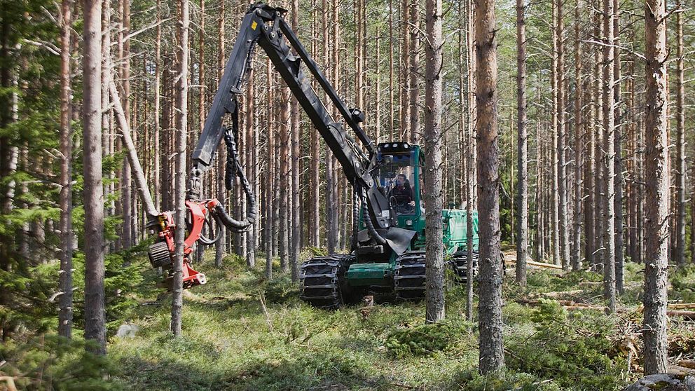 Skogsindustri, skogsmaskin, biomassa, träindustri