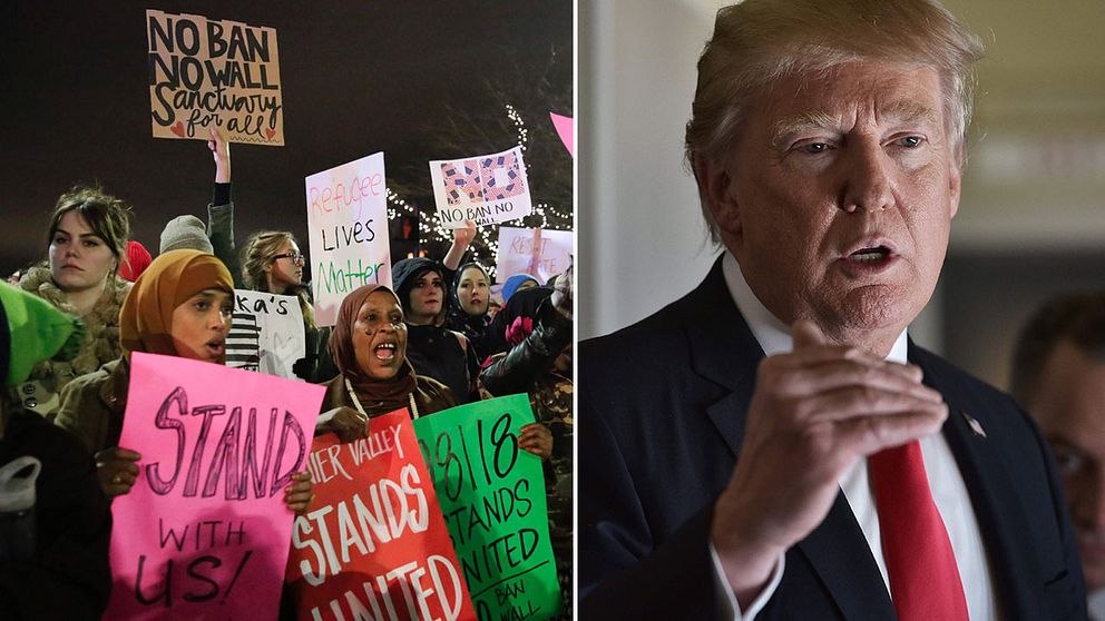 Demonstranter i Washington mot inreseförbudet, samt USA:s president Donald Trump.