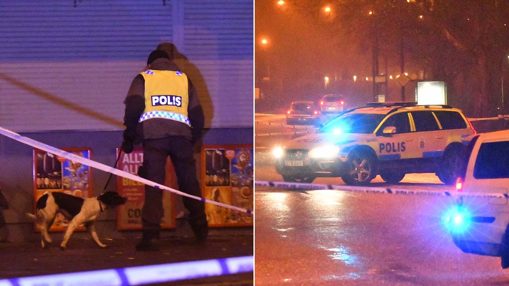 Polisen har spärrat av ett större område i Malmö där flera tomhylsor hittats.