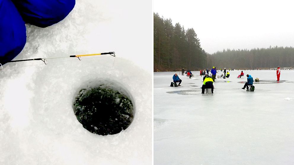 Pimpelhål och pimplare på Tattartjärnen