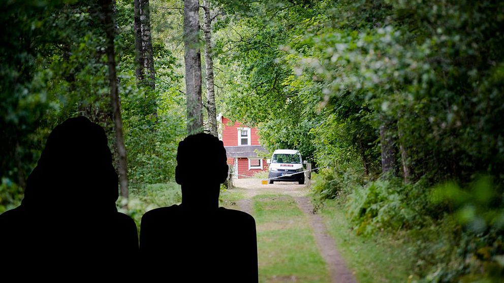 Pojkvän erkänner sommarstugemord