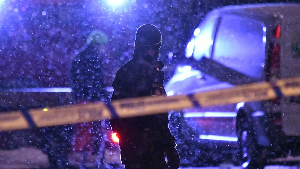 Vid tvåtiden natten till onsdag fick polisen larm om skottlossning vid Pildammsparken.