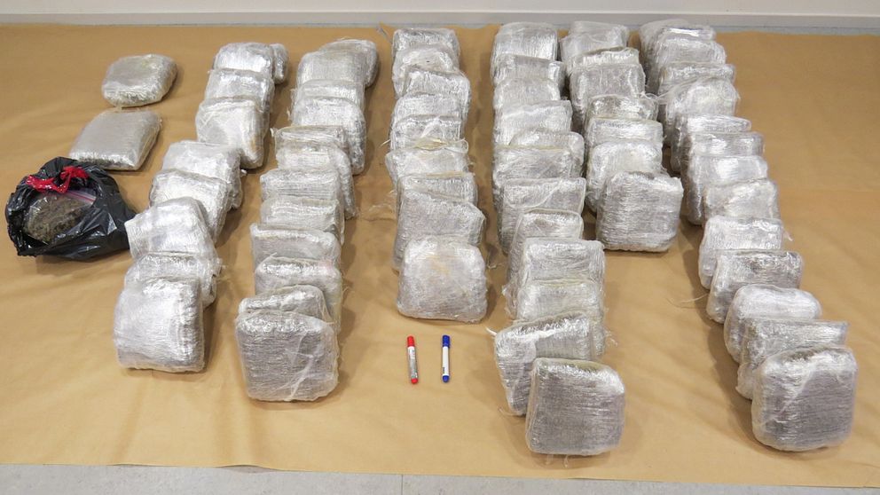 Stora mängder cannabis beslagtogs.