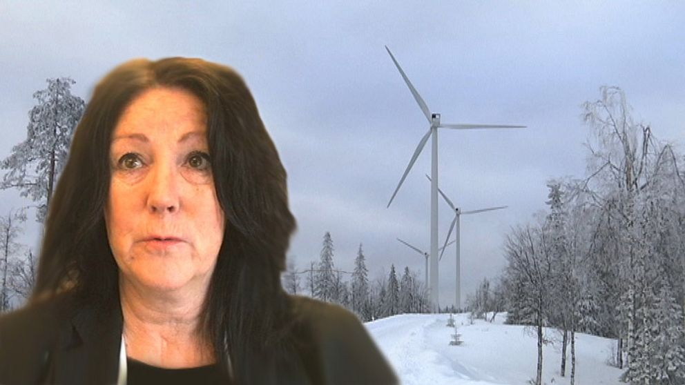 vindkraft, Ulla Hedman Andren