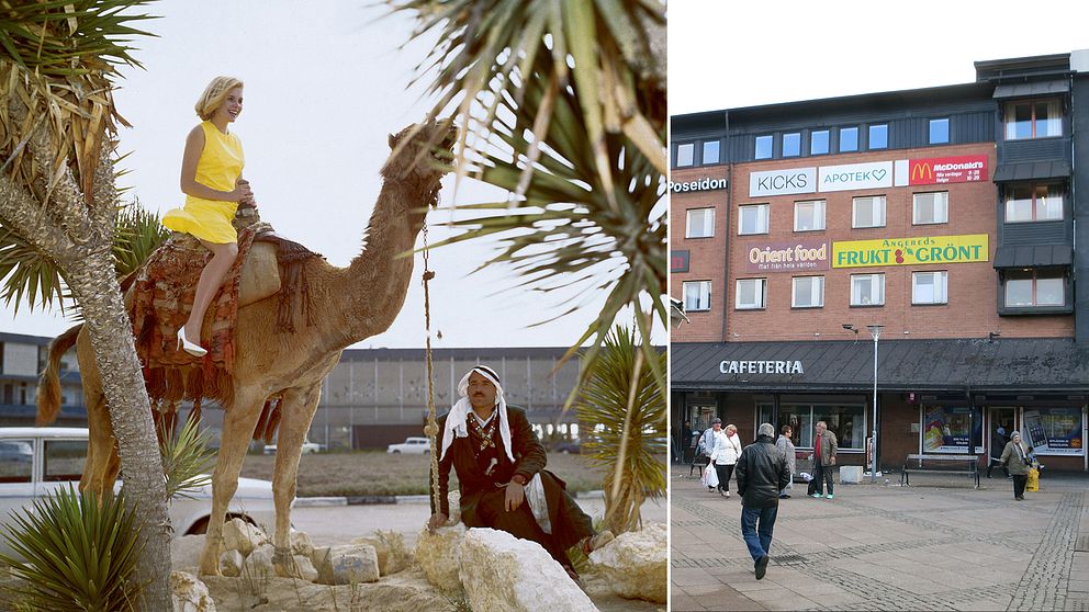 Angereds centrum, och en kamel.