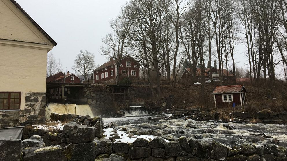 Området kring dammen i Järle.