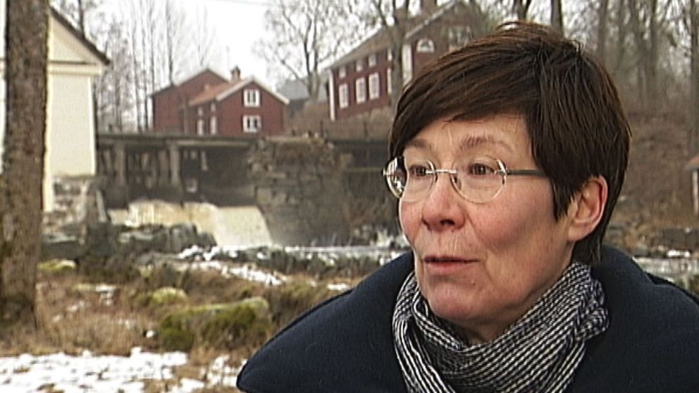 Birgitta Johansen, länsantikvarie och chef för länsmuseét.