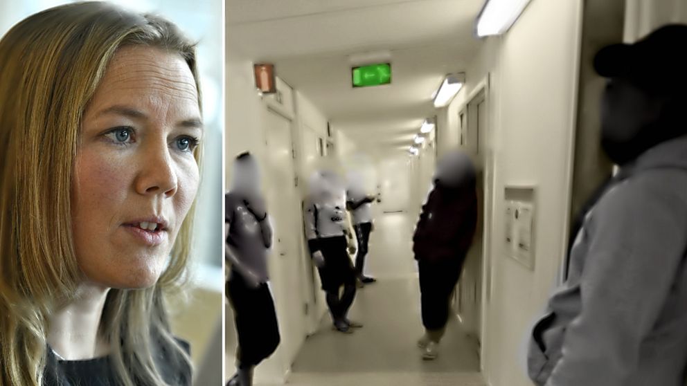 Flyktingbarns självmord fråga för riksdagen