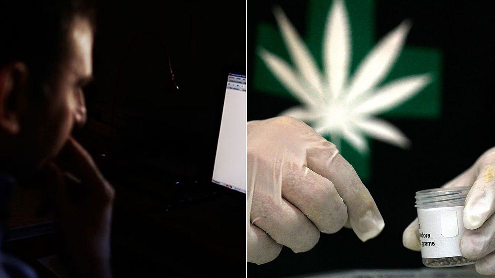 Cannabis och sexuella tjänster på Darknet ska granskas