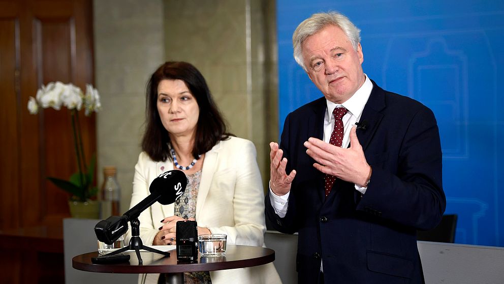 Storbritanniens brexit-minister David Davis träffade Sveriges EU-minister Ann Linde (S) i Stockholm under tisdagen.