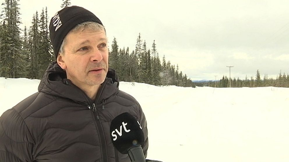 Anders Pettersson, allmänningsförvaltare för Tärna-Stensele och Sorseles allmänningsskog, skog