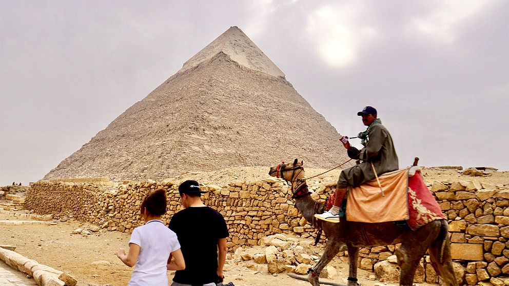 Pyramid och kamel