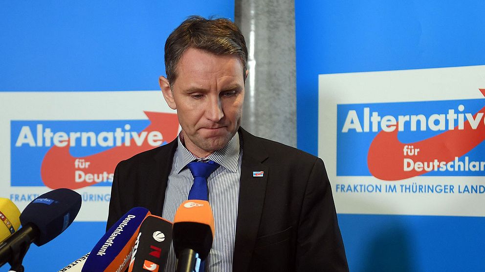 Björn Höcke hävdar att han utnyttjats av personer som slåss om makten i partiet.