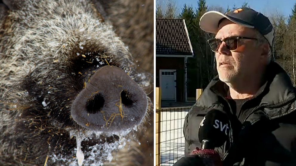 Sven Andersson bor i närheten av kyrkan i Kärda och han har tvingats sätta upp staket för 40.000 kronor för att skydda sin egendom.