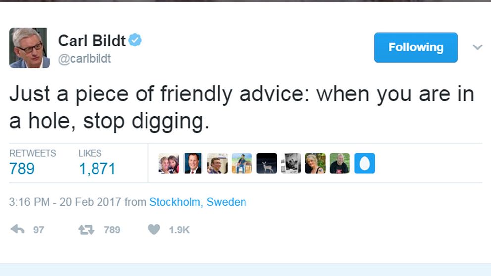 Bildt