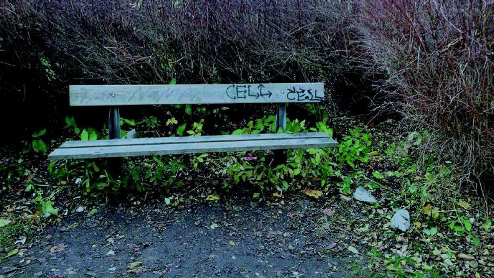 Vid den är bänken i länsstyrelsens park våldtogs den 15-årige pojken av tre yngre män.