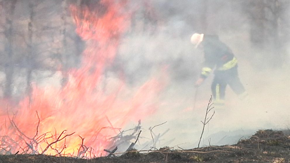 Pyrande rester av en valborgsmässoeld vållade en större gräsbarn i Transtrand söder om Sälen den 2 maj.