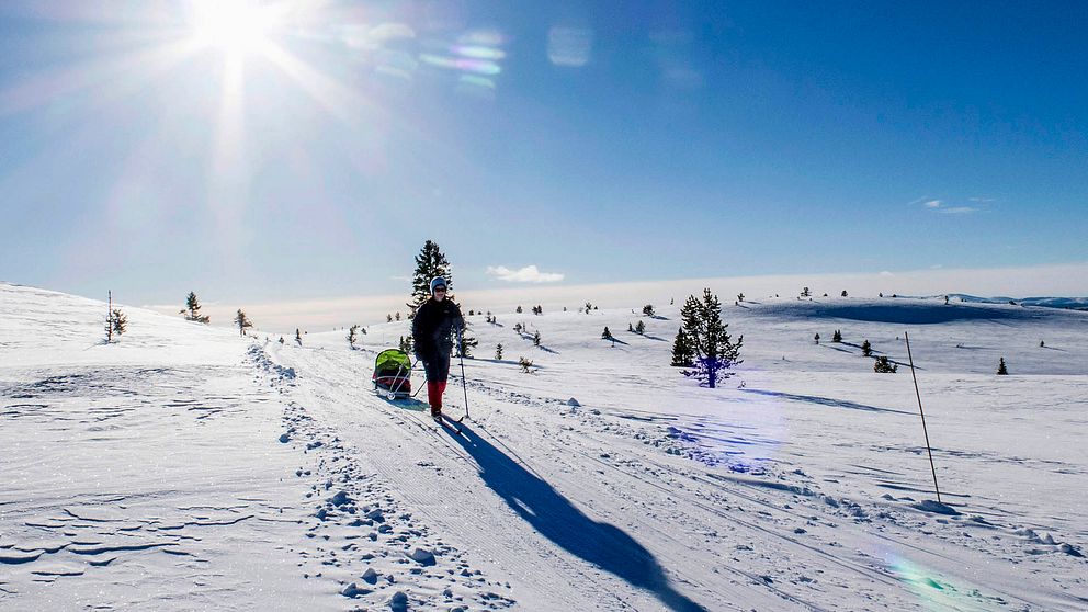 Sportlov, skidåkning, fjäll, snö