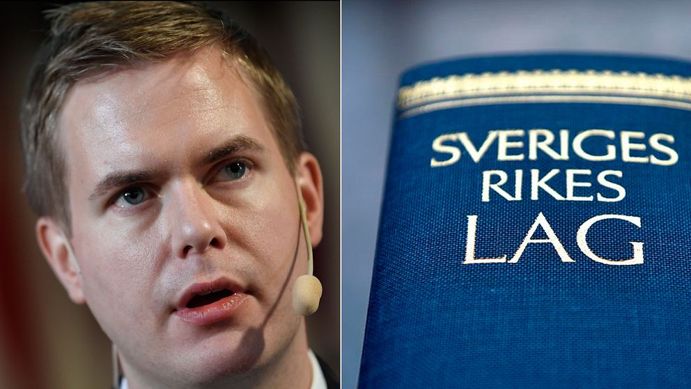 Gustav Fridolin tycker att det uppmärksammande fallet med en våldtäkt på en skola i Lund understryker vikten av en lagändring.