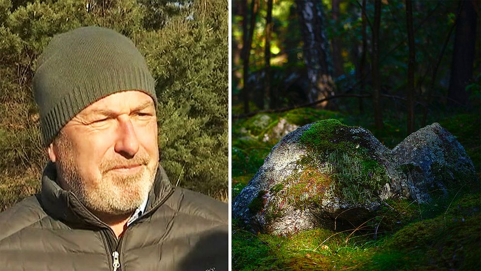 Bengt Danielsson är distriktschef på Skogsstyrelsen i Värmland