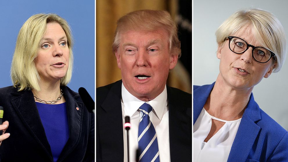 Finansminister Magdalena Andersson, USA:s president Donald Trump och Moderaternas integrationspolitiska talesperson Elisabeth Svantesson har alla använt begreppet ”fake news”.