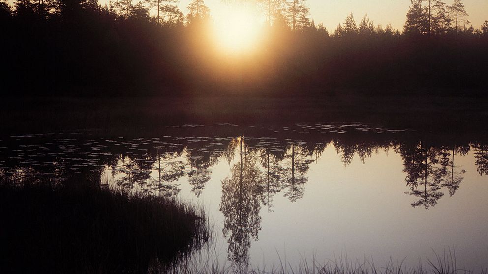 Solen går upp över Dalarna. I dag klockan 11.29 sker vårdagjämningen och landet blir ljusare.