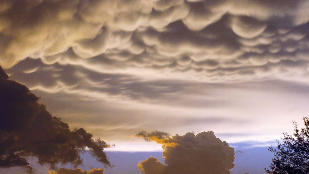 Bilden beskriver Mammatusmolnet som är ett hängande moln.