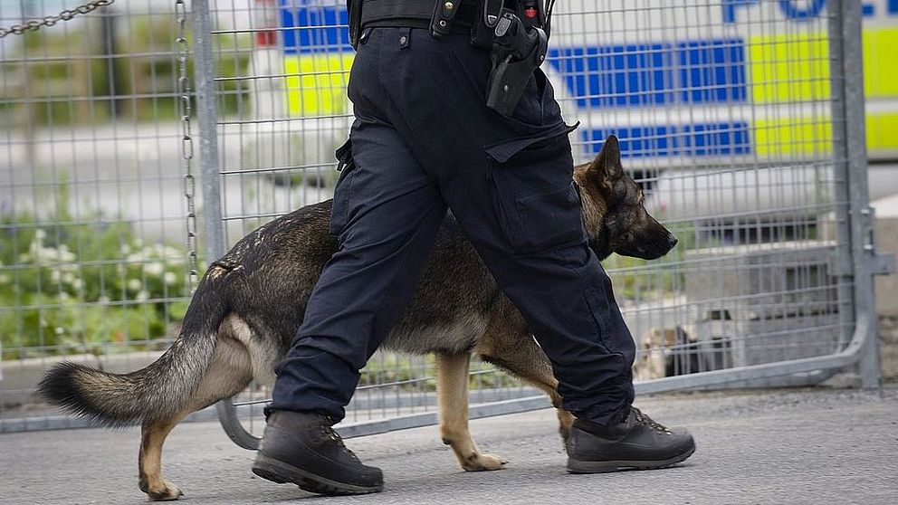 Polishund går bredvid polis