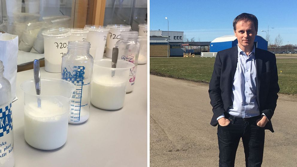 Vd Henrik Nyberg utanför ceres fabrik i Bjuv och mjölkpulvret som ska exporteras till kinesiska konsumenter.