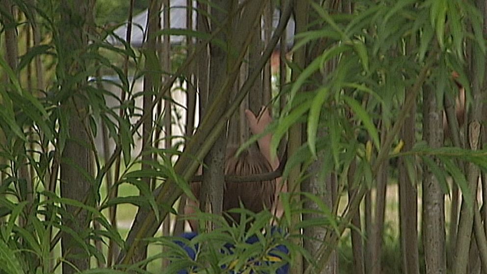 anonymt barn i piltunnel i barnens trädgård i Karlsund
