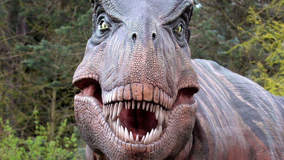 En naturtrogen Tyrannosaurus har återskapats på ett zoo i Seattle.