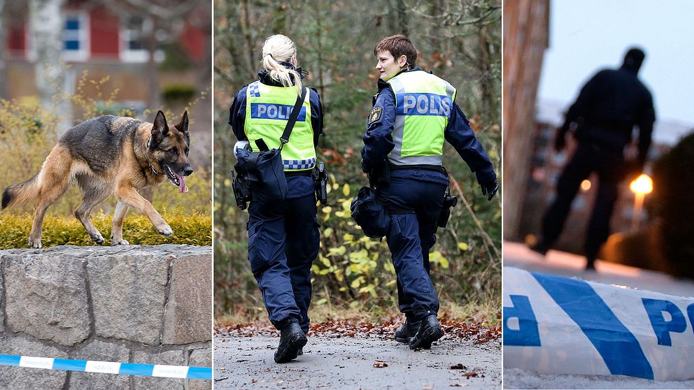 Tredelad bild: polishund, två poliser på en väg och en polis i siluett