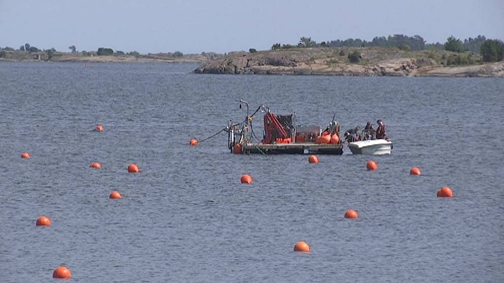 Musselodling i Sankt Annas skärgård Öst