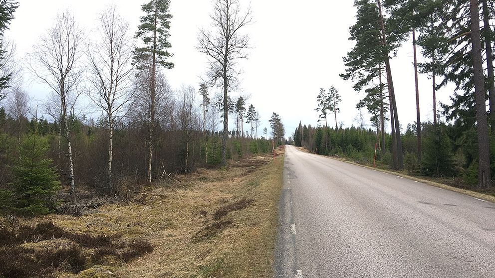 Väg där tiggare misshandlades