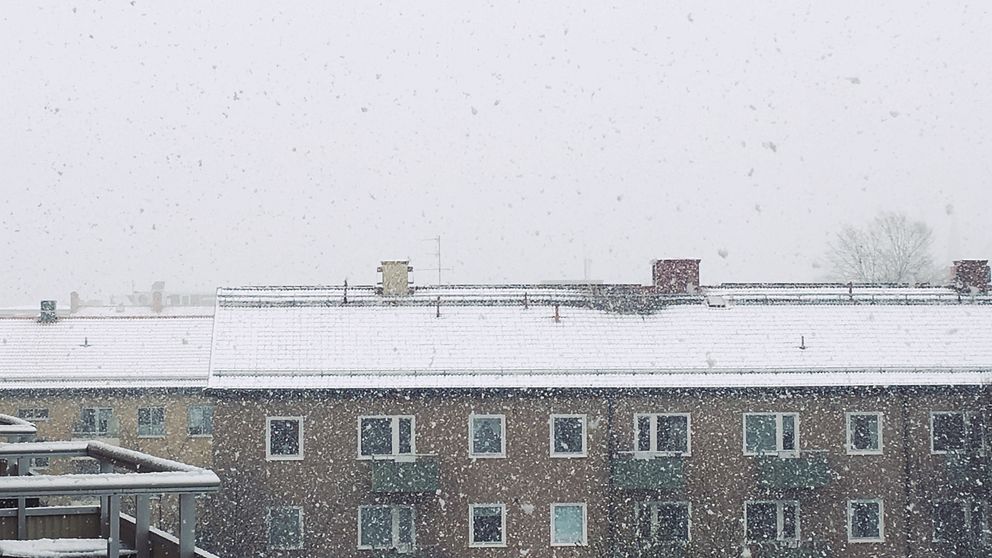 Öst snö linköping