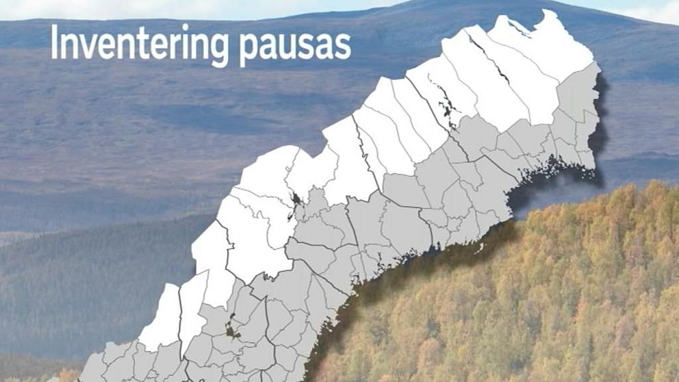 Inventeringen pausas i Kiruna, Gällivare, Jokkmokk, Arjeplog, Sorsele, Storuman, Vilhelmina, Dorotea, Strömsund, Krokom, Åre, Berg, Härjedalen, Älvdalen, Malung-Sälen samt delar av Torsby kommun.