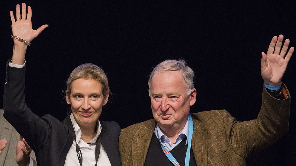 Alice Weidel och Alexander Gauland