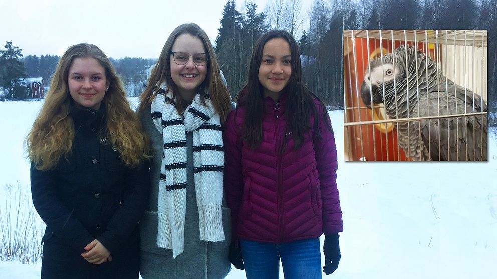 tre 15-åriga tjejer fotade utomhus, infälld bild på papegoja