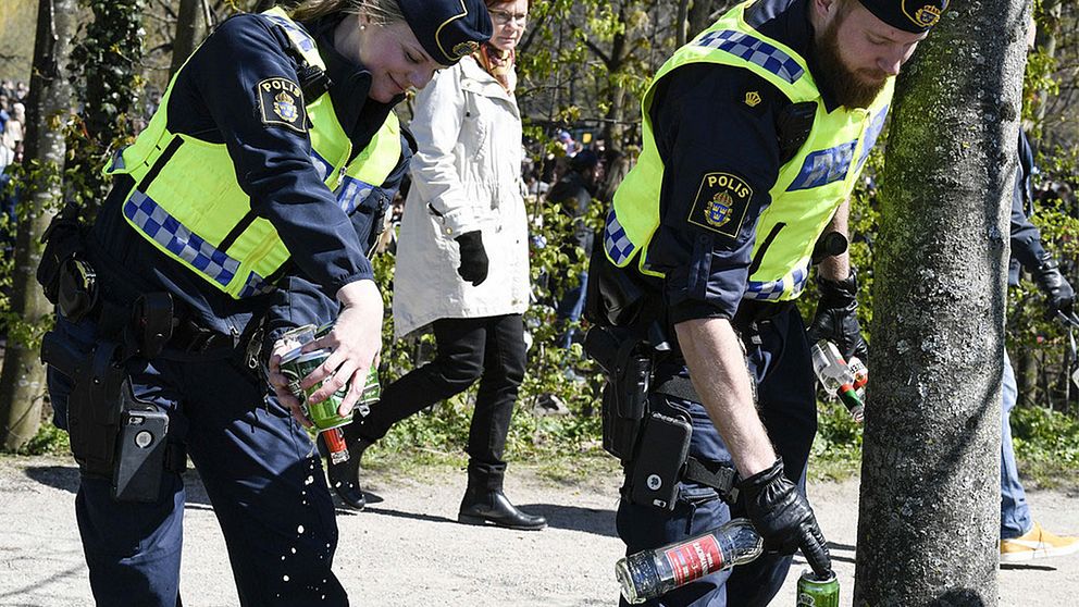 Polisen har upprättat över hundra anmälningar för brott mot alkohollagen från Statsparken i Lund.