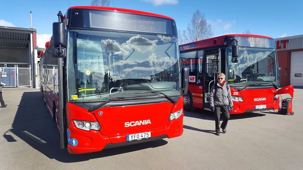 LLT, Luleå lokaltrafik