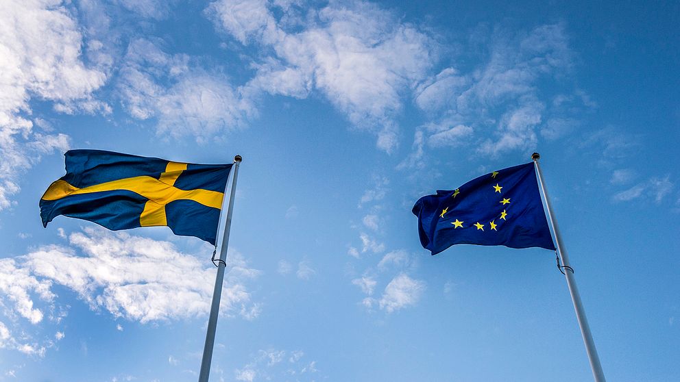 Europadagen firas idag med aktiviteter och evenemang i hela Europa.