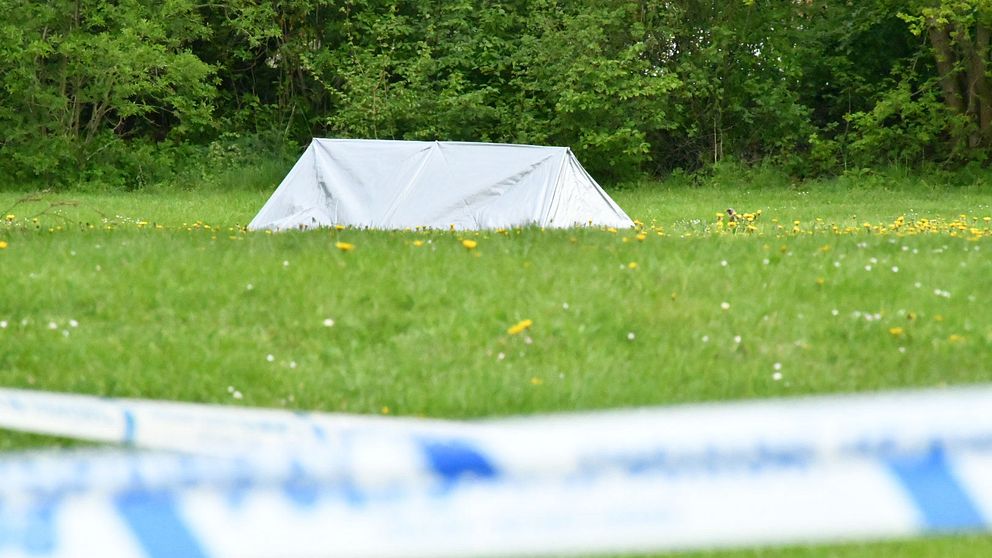 Den skadade personen, som senare avled, hittades i ett grönområde i Drottninghög.