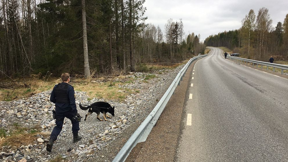 polis med hund söker i skogskant vid väg