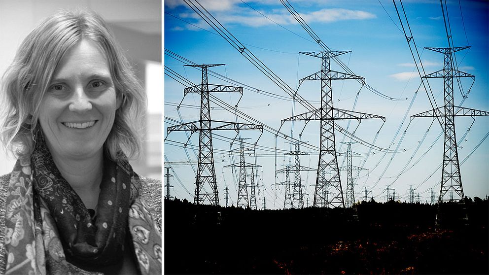 Mari-Louise Persson som är energistrateg och arbetar för Nils Holgerssongruppen vill att regeringen ser över elnätsregleringen.