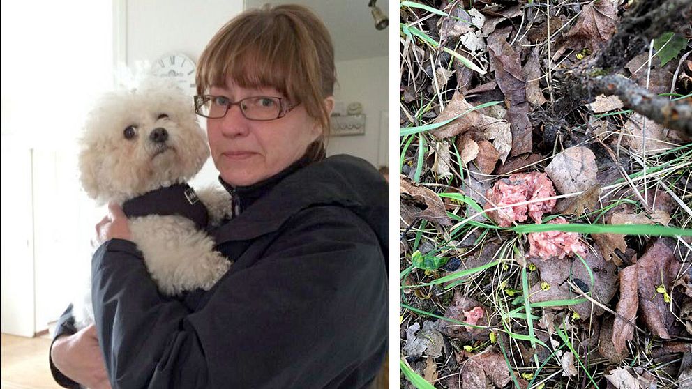Carina Gustavssons hund Vovvas förgiftades.